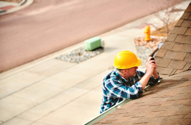 Best Roof Gutter Cleaning  in Morton, MS